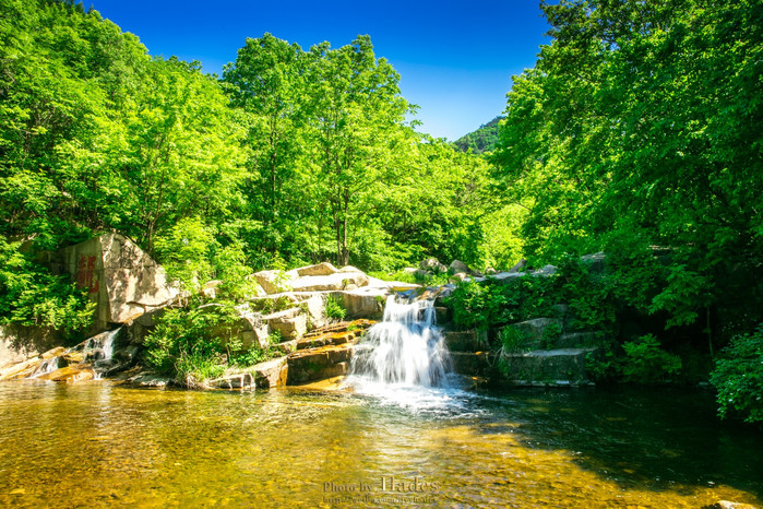 孔雪儿发文回应鱼子酱事件:希望大家向前看